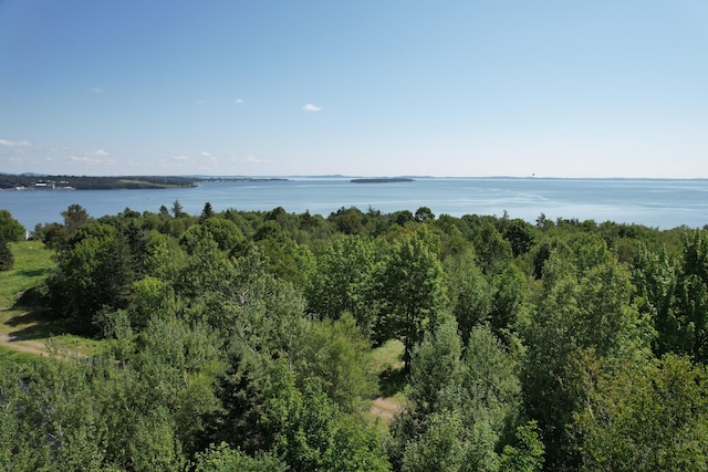 LOT52 US Route 1, Robbinston, ME 04671