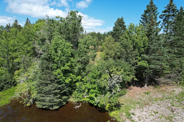 LOT52 US Route 1, Robbinston, ME 04671