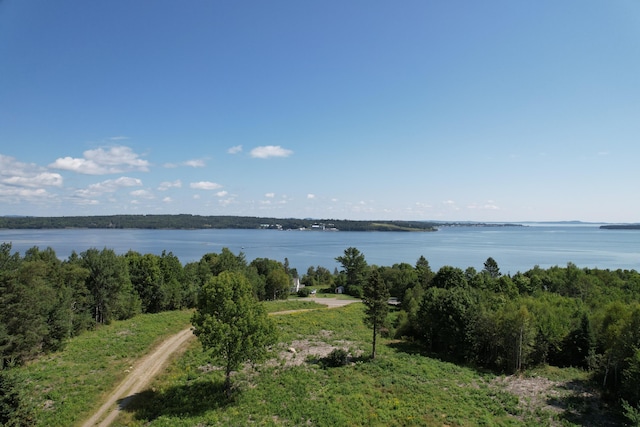 LOT52 US Route 1, Robbinston, ME 04671