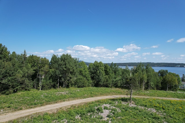 LOT52 US Route 1, Robbinston, ME 04671