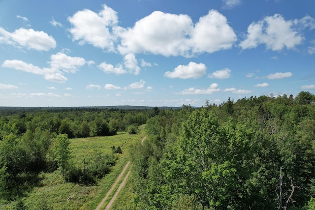 LOT52 US Route 1, Robbinston, ME 04671