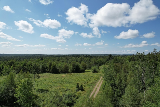 LOT52 US Route 1, Robbinston, ME 04671