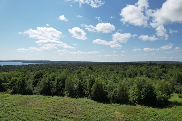LOT52 US Route 1, Robbinston, ME 04671