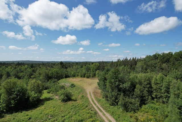 LOT52 US Route 1, Robbinston, ME 04671