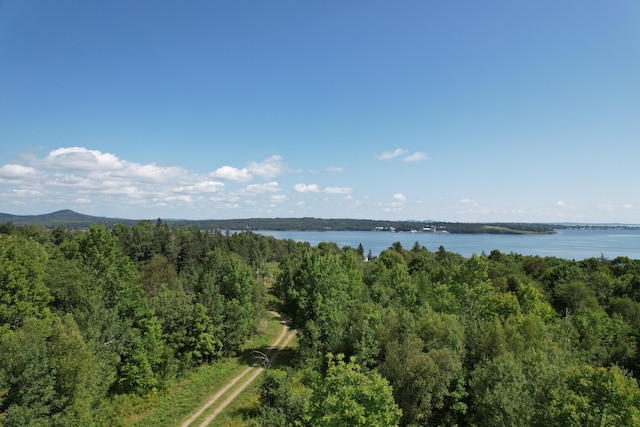 LOT52 US Route 1, Robbinston, ME 04671
