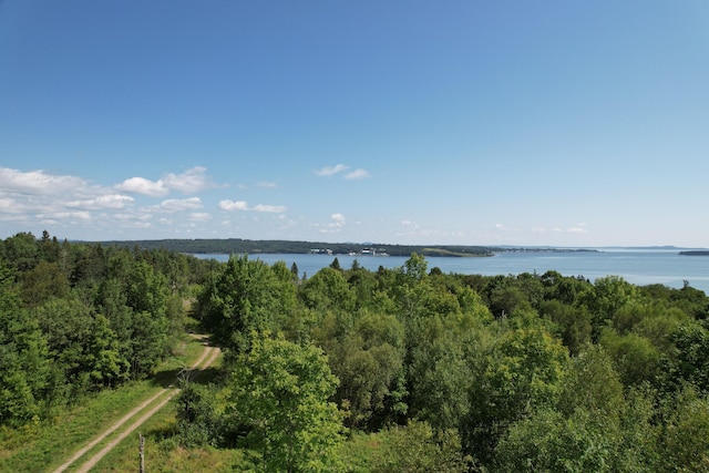 LOT52 US Route 1, Robbinston, ME 04671