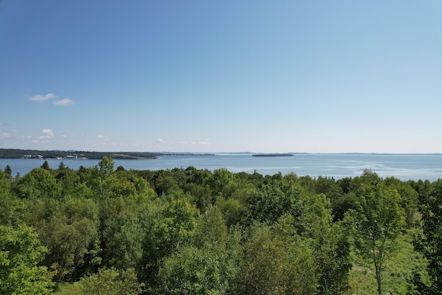 LOT52 US Route 1, Robbinston, ME 04671