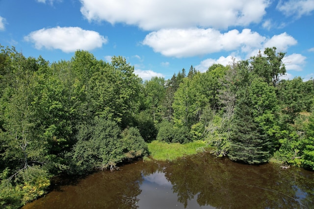 LOT52 US Route 1, Robbinston, ME 04671