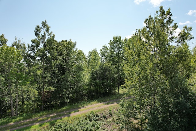 LOT52 US Route 1, Robbinston, ME 04671