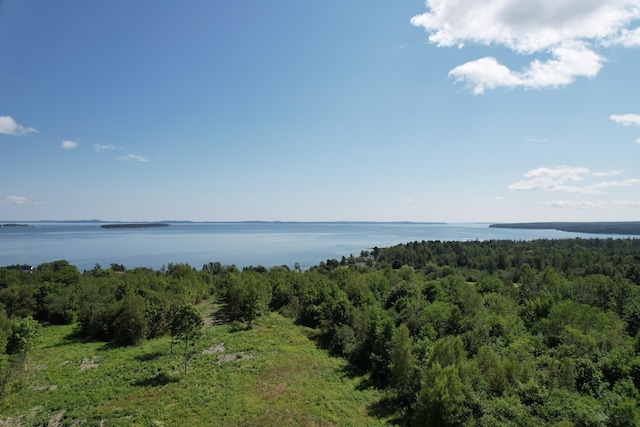 LOT52 US Route 1, Robbinston, ME 04671