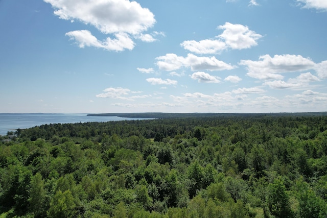 LOT52 US Route 1, Robbinston, ME 04671