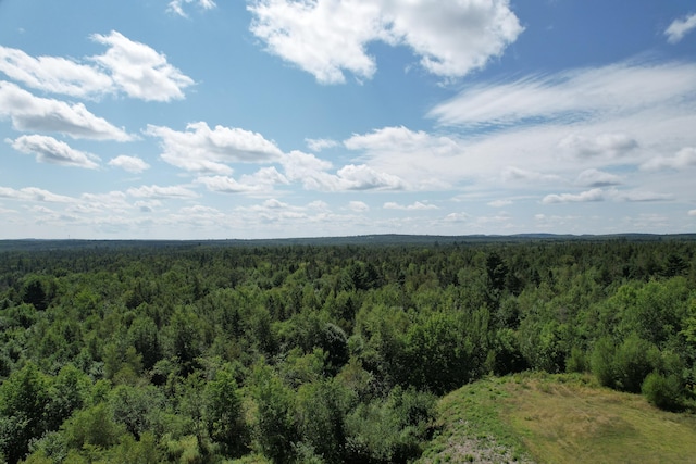 LOT52 US Route 1, Robbinston, ME 04671