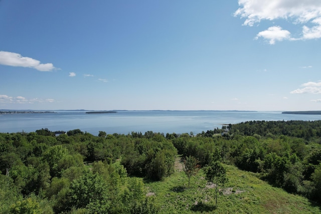 LOT52 US Route 1, Robbinston, ME 04671