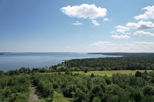 LOT52 US Route 1, Robbinston, ME 04671