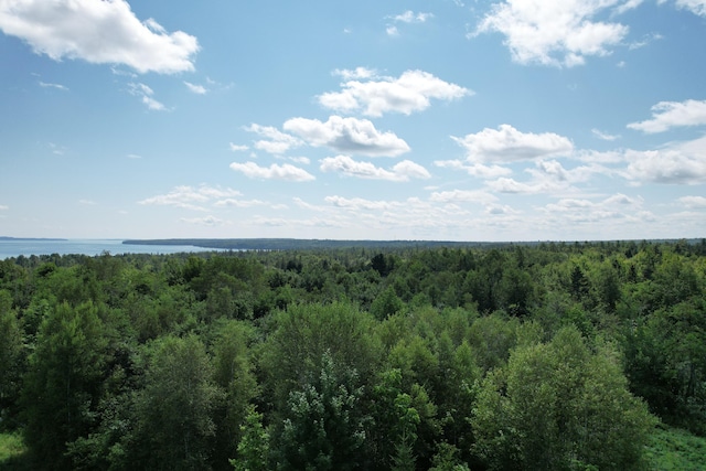 LOT52 US Route 1, Robbinston, ME 04671