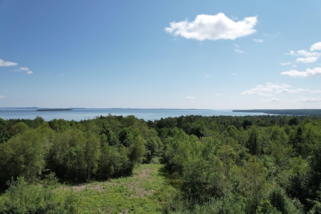 LOT52 US Route 1, Robbinston, ME 04671