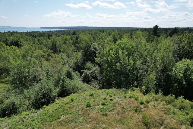 LOT52 US Route 1, Robbinston, ME 04671
