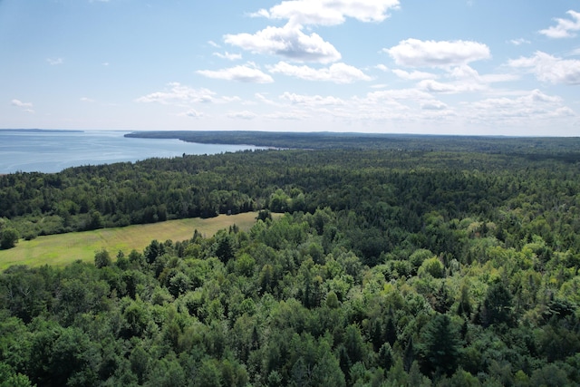 LOT52 US Route 1, Robbinston, ME 04671