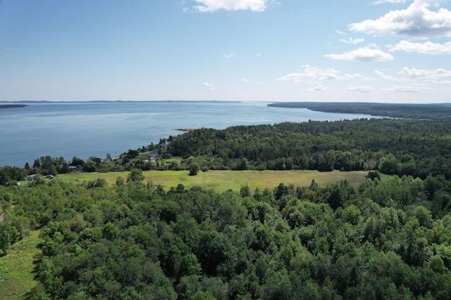 LOT52 US Route 1, Robbinston, ME 04671