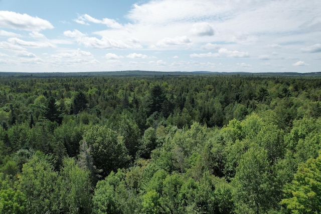 LOT52 US Route 1, Robbinston, ME 04671