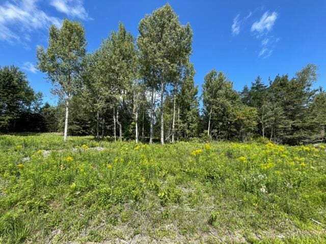 LOT52 US Route 1, Robbinston, ME 04671