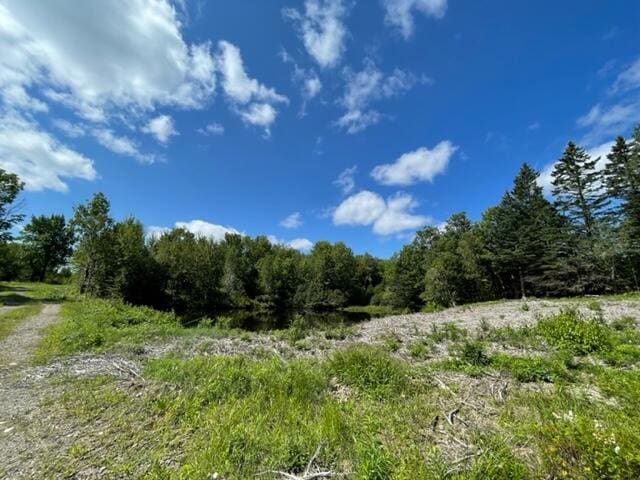 LOT52 US Route 1, Robbinston, ME 04671