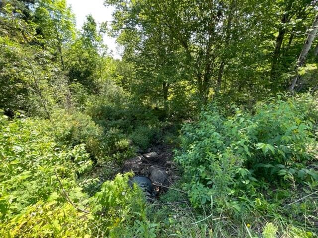 LOT52 US Route 1, Robbinston, ME 04671