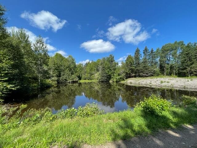 LOT52 US Route 1, Robbinston, ME 04671