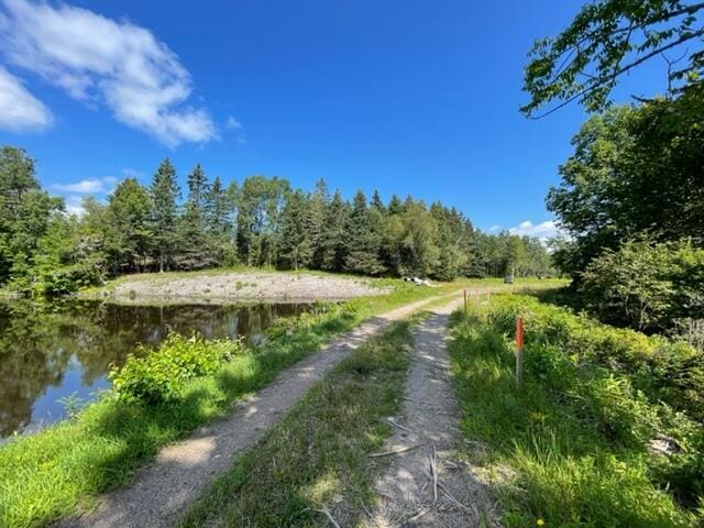 LOT52 US Route 1, Robbinston, ME 04671
