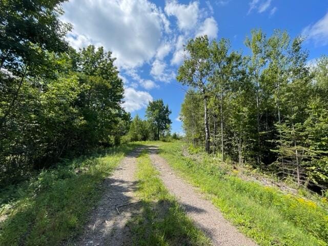 LOT52 US Route 1, Robbinston, ME 04671