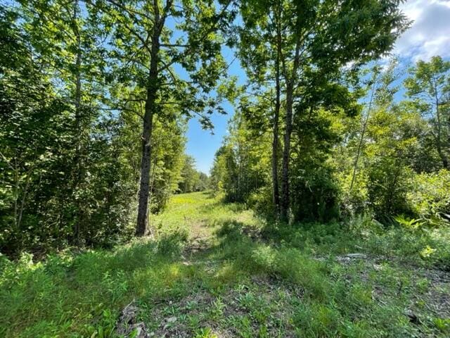 LOT52 US Route 1, Robbinston, ME 04671