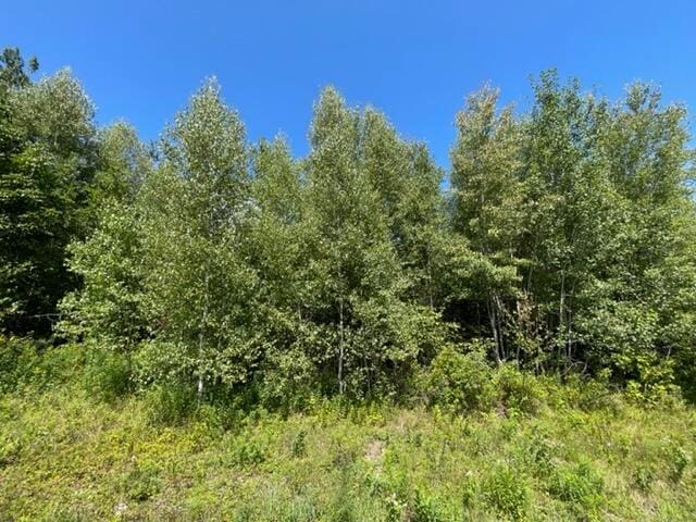 LOT52 US Route 1, Robbinston, ME 04671