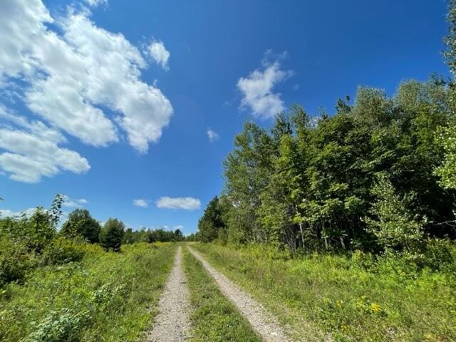 LOT52 US Route 1, Robbinston, ME 04671