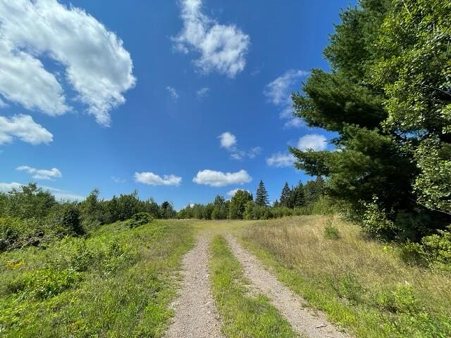 LOT52 US Route 1, Robbinston, ME 04671