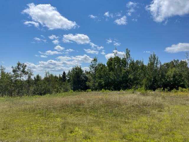 LOT52 US Route 1, Robbinston, ME 04671