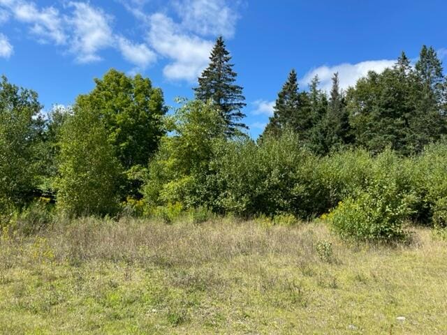 LOT52 US Route 1, Robbinston, ME 04671