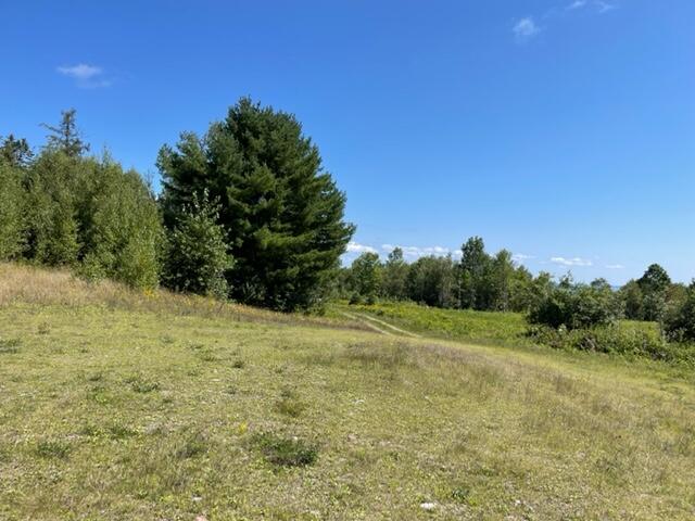 LOT52 US Route 1, Robbinston, ME 04671
