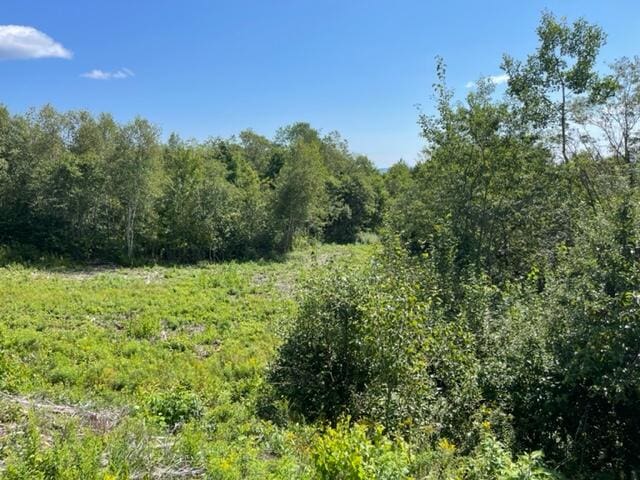 LOT52 US Route 1, Robbinston, ME 04671