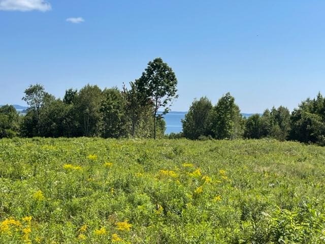 LOT52 US Route 1, Robbinston, ME 04671