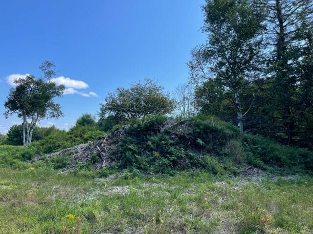 LOT52 US Route 1, Robbinston, ME 04671
