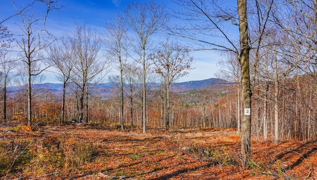 LOT2 Mine Rd, Stoneham ME, 04231 land for sale