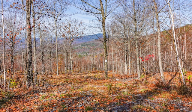 Listing photo 2 for LOT2 Mine Rd, Stoneham ME 04231