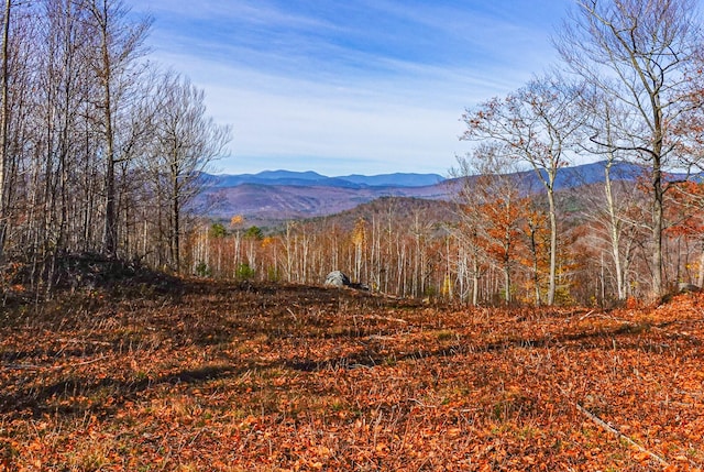 LOT3 Mine Rd, Stoneham ME, 04231 land for sale