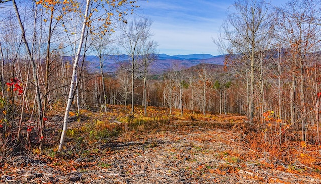 Listing photo 2 for LOT3 Mine Rd, Stoneham ME 04231