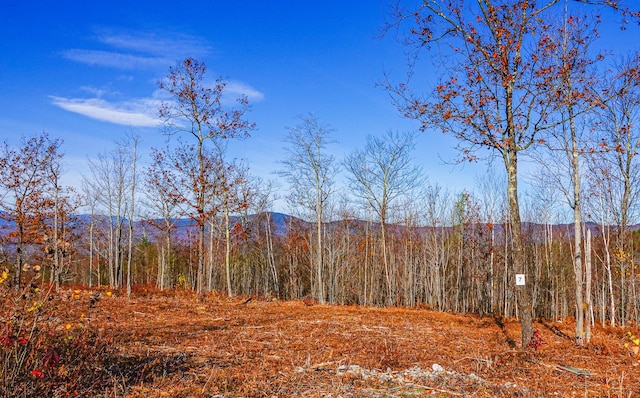 LOT7 Mine Rd, Stoneham ME, 04231 land for sale