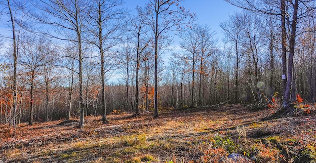 LOT10 Mine Rd, Stoneham ME, 04231 land for sale