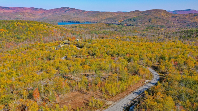 Listing photo 3 for LOT11 Mine Rd, Stoneham ME 04231