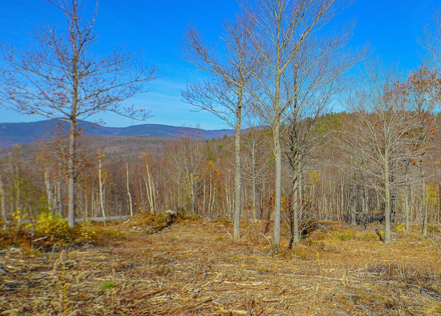 LOT13 Mine Rd, Stoneham ME, 04231 land for sale