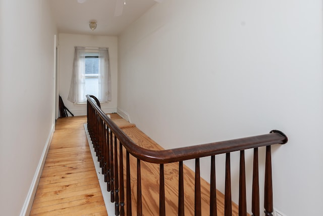 hallway with light hardwood / wood-style flooring