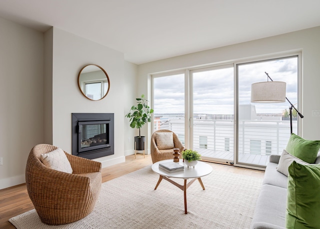 living area with baseboards, a glass covered fireplace, and light wood-style flooring